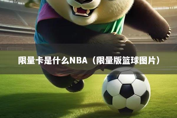 限量卡是什么NBA（限量版篮球图片）