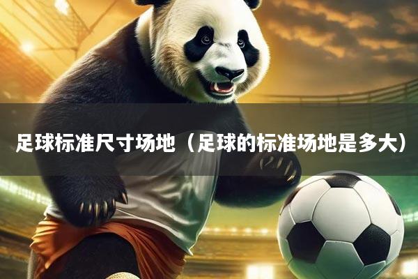 足球标准尺寸场地（足球的标准场地是多大）
