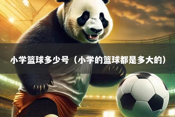 小学篮球多少号（小学的篮球都是多大的）