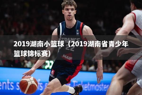 2019湖南小篮球（2019湖南省青少年篮球锦标赛）