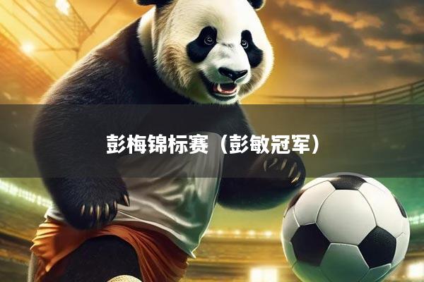 彭梅锦标赛（彭敏冠军）