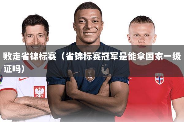 败走省锦标赛（省锦标赛冠军是能拿国家一级证吗）